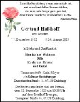 eine Anzeige